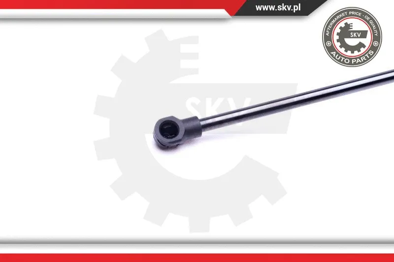 Gas Spring, boot/cargo area
