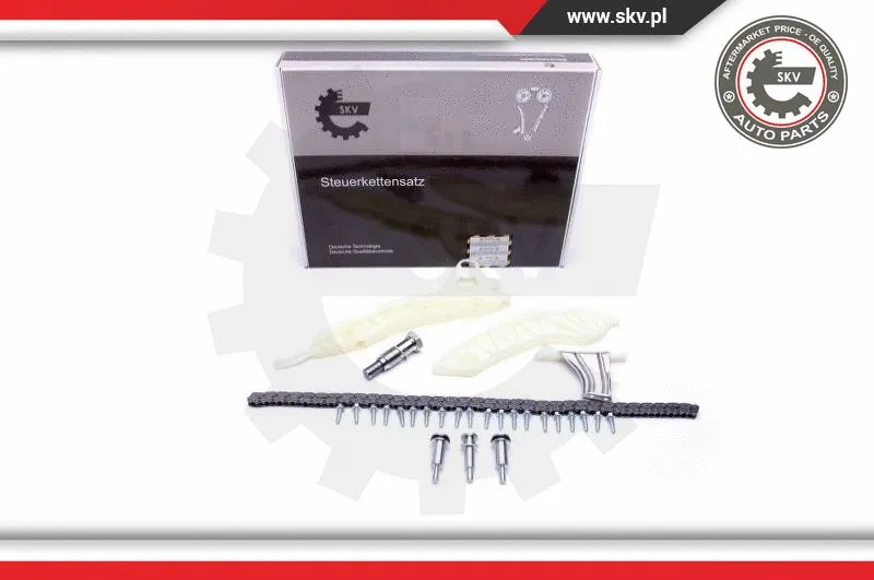 Timing Chain Kit (21SKV116)