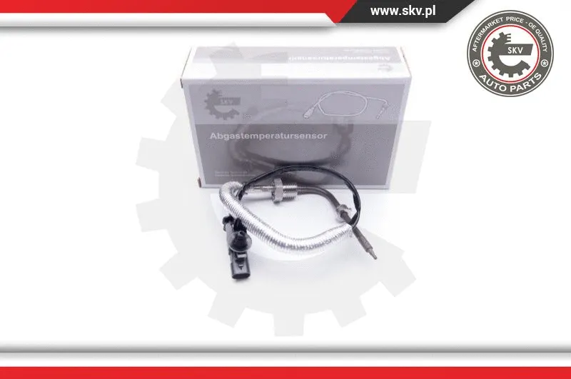 Sensor, exhaust gas temperature (30SKV102)