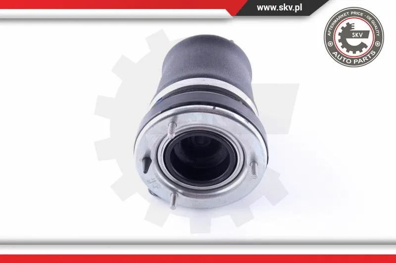 Air Spring, suspension