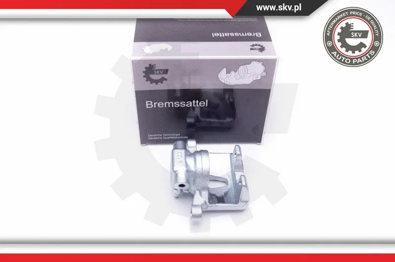 Brake Caliper (42SKV584)