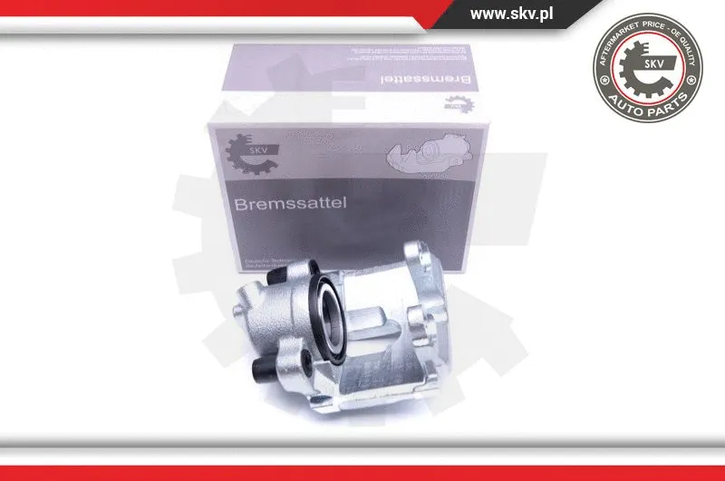 Brake Caliper (44SKV241)