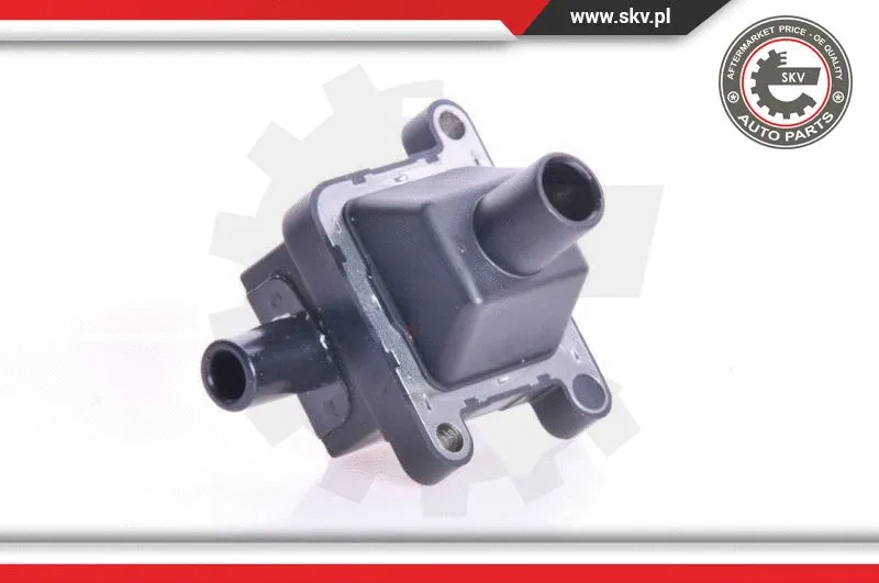 Ignition Coil (03SKV034)