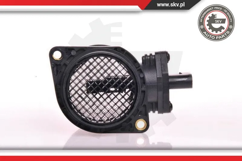 Mass Air Flow Sensor (07SKV049)