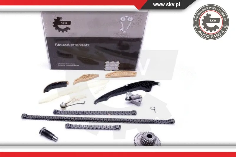 Timing Chain Kit (21SKV139)