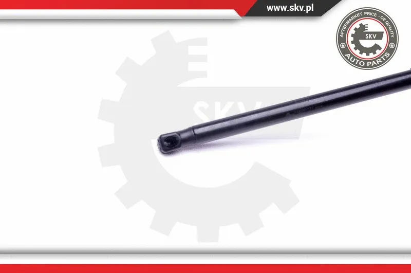 Gas Spring, boot/cargo area