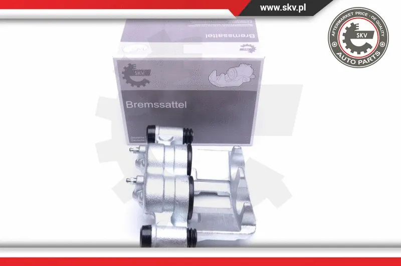 Brake Caliper (42SKV862)