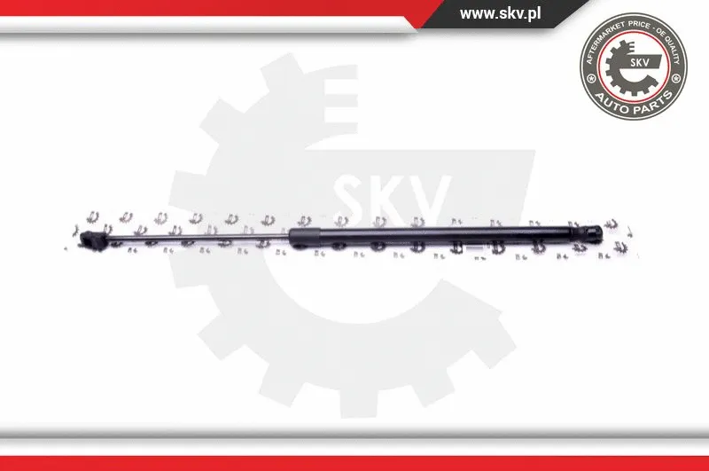 Gas Spring, boot/cargo area