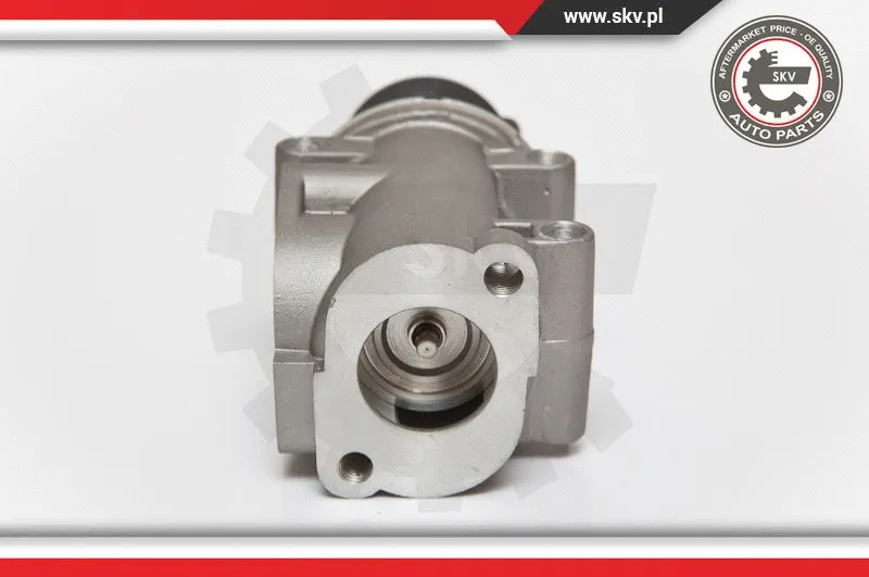EGR Valve