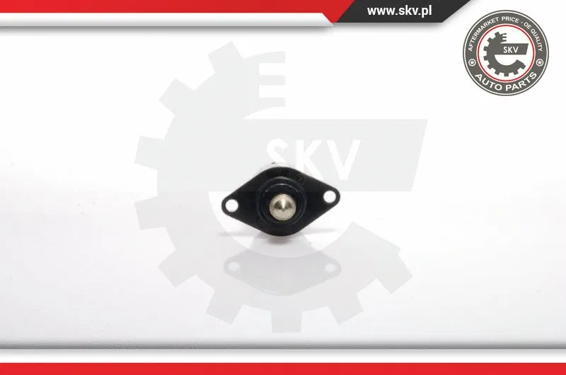 Idle Control Valve, air supply