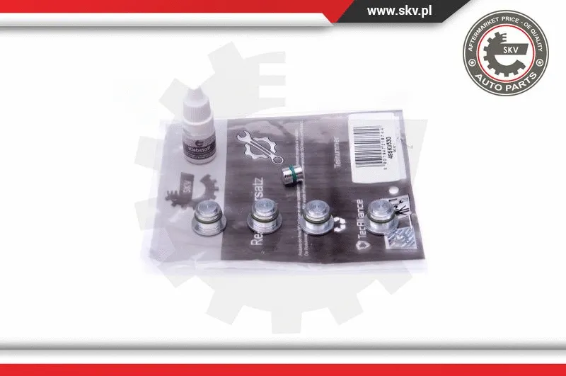 Repair Kit, intake manifold module (49SKV530)