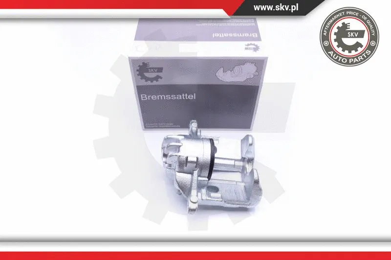 Brake Caliper (42SKV781)