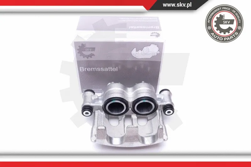 Brake Caliper (45SKV651)