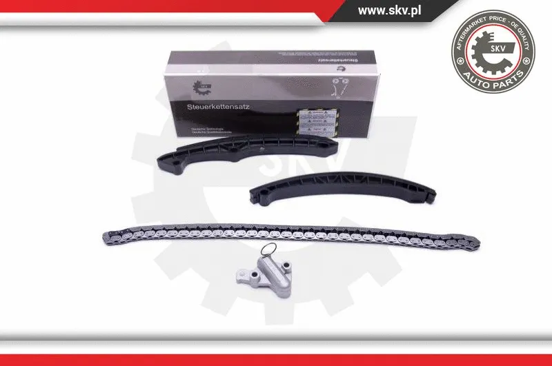 Timing Chain Kit (21SKV160)