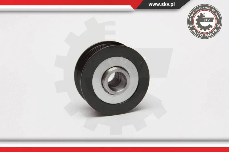 Alternator Freewheel Clutch (11SKV013)
