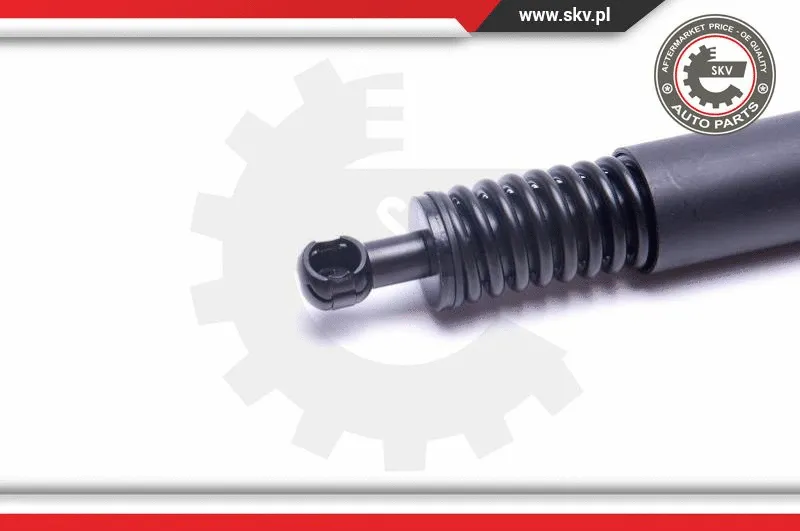 Gas Spring, boot/cargo area