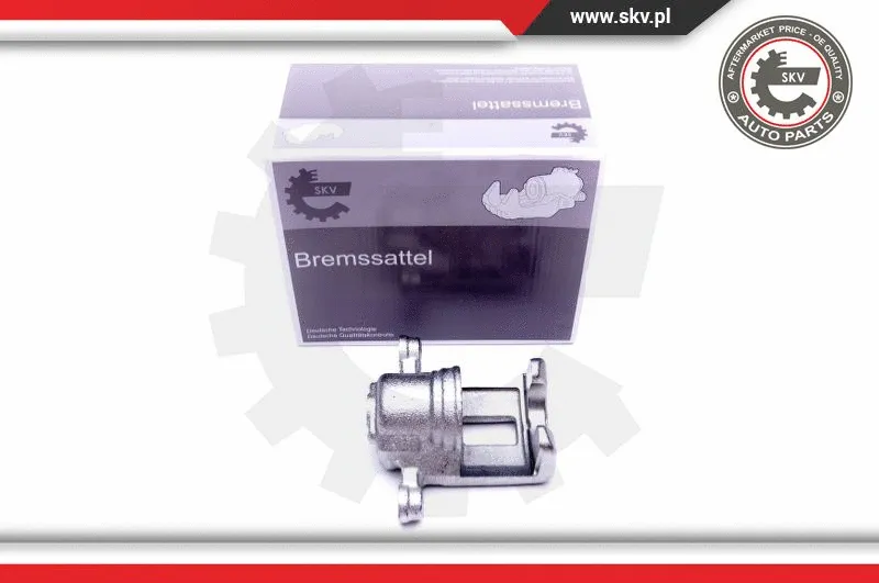 Brake Caliper (45SKV793)