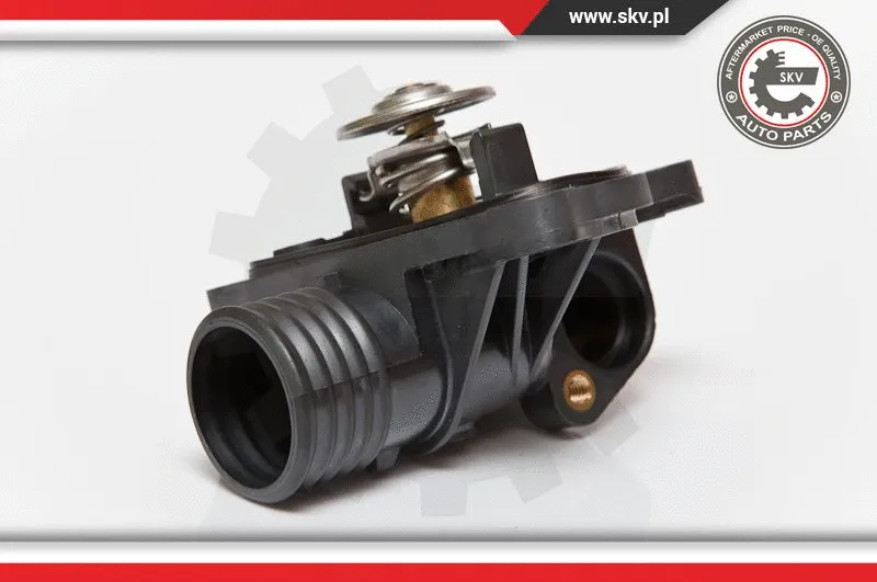 Thermostat, coolant