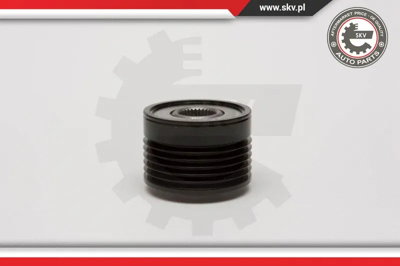 Alternator Freewheel Clutch (11SKV055)