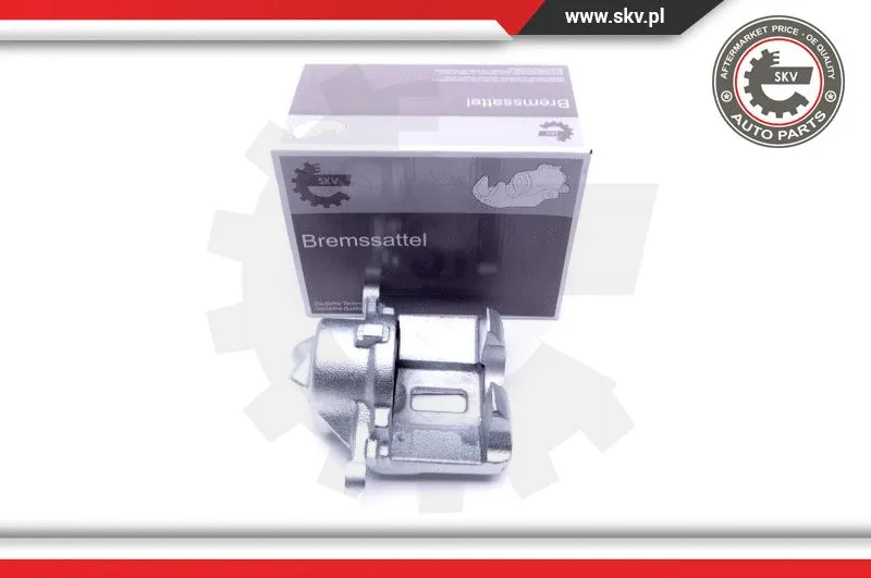 Brake Caliper (46SKV061)