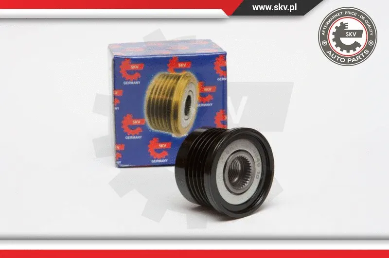 Alternator Freewheel Clutch (11SKV024)