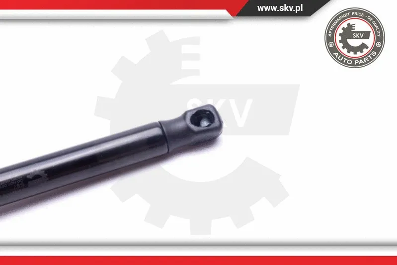 Gas Spring, boot/cargo area