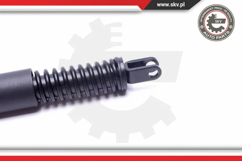 Gas Spring, boot/cargo area