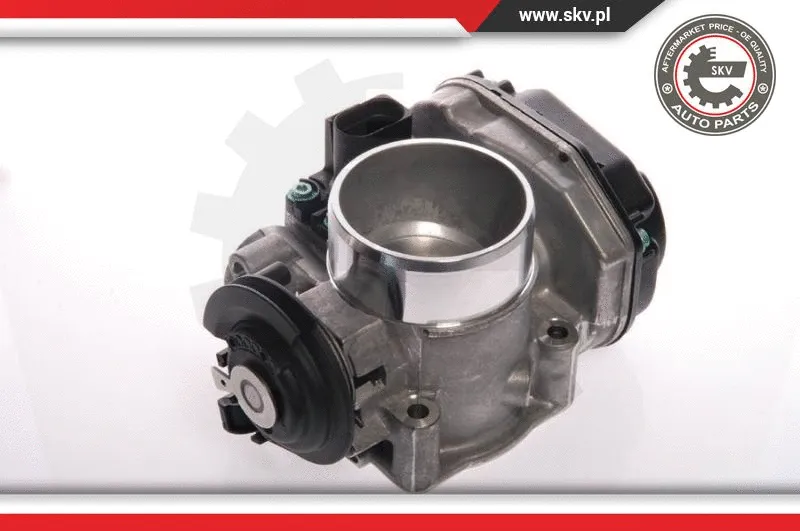 Throttle Body