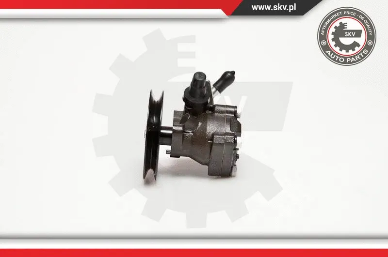Hydraulic Pump, steering (10SKV093)