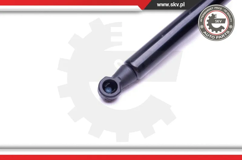 Gas Spring, bonnet