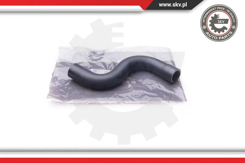 Radiator Hose (24SKV234)