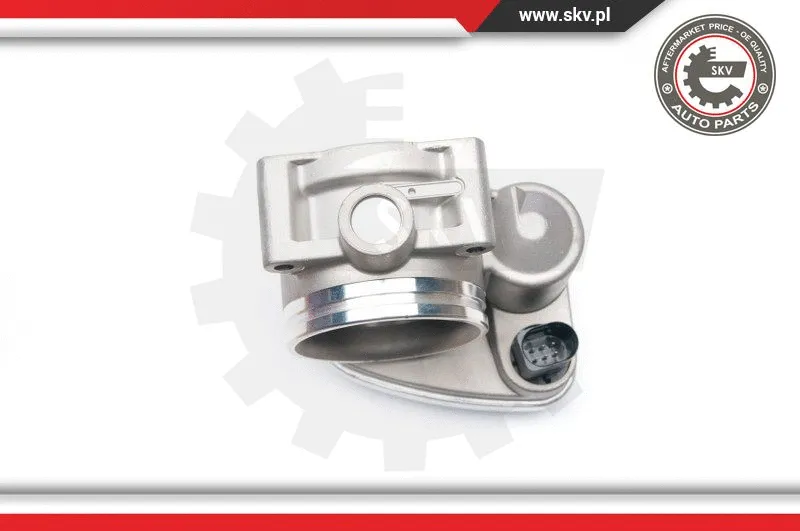 Throttle Body (12SKV050)