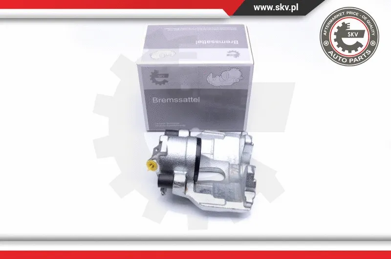 Brake Caliper (45SKV102)