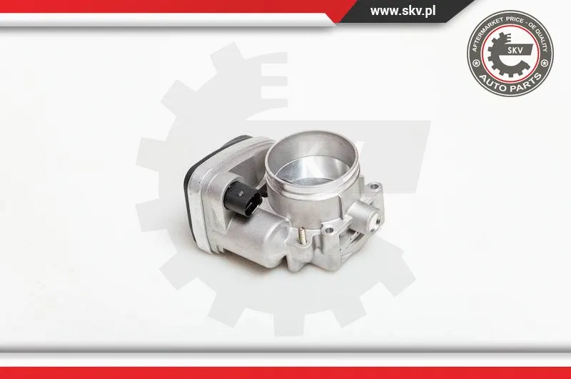 Throttle Body