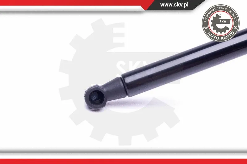 Gas Spring, boot/cargo area