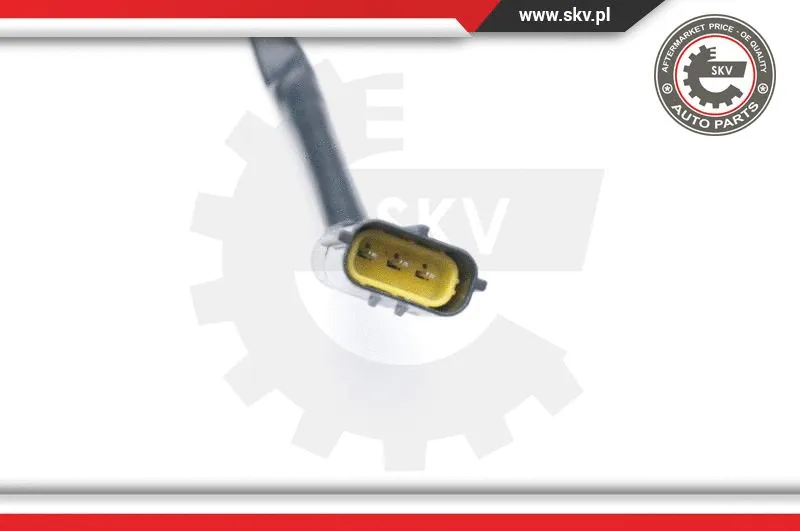 Lambda Sensor