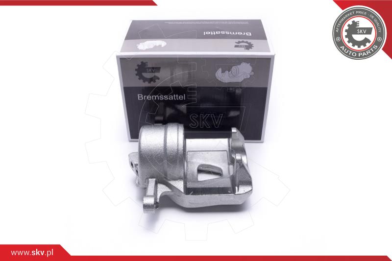 Brake Caliper (42SKV791)