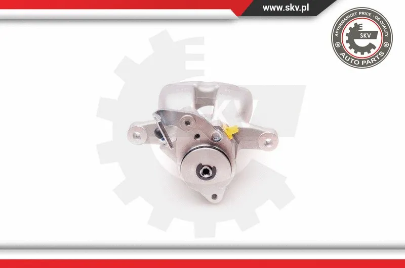 Brake Caliper (23SKV377)