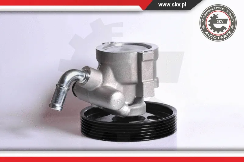 Hydraulic Pump, steering (10SKV163)
