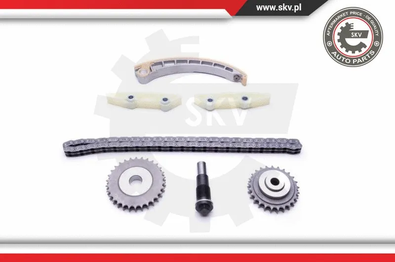Timing Chain Kit