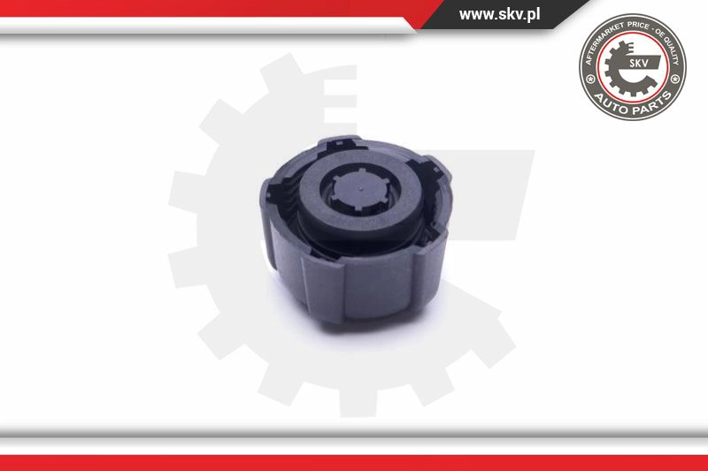 Cap, coolant tank