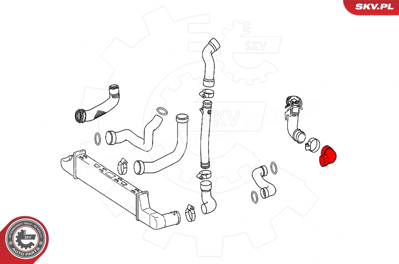 Charge Air Hose