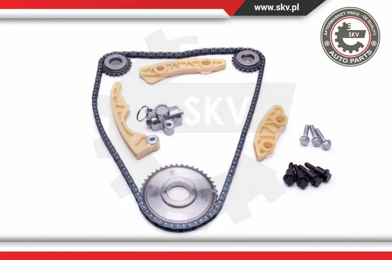 Timing Chain Kit
