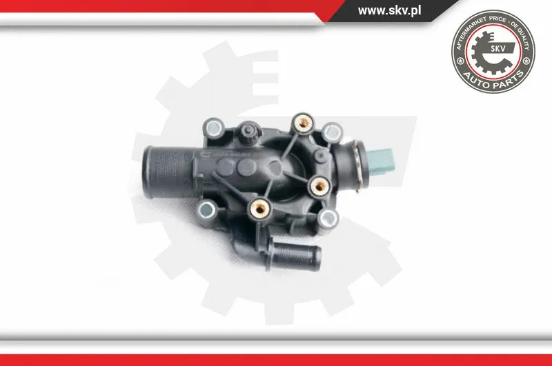 Thermostat, coolant (20SKV034)