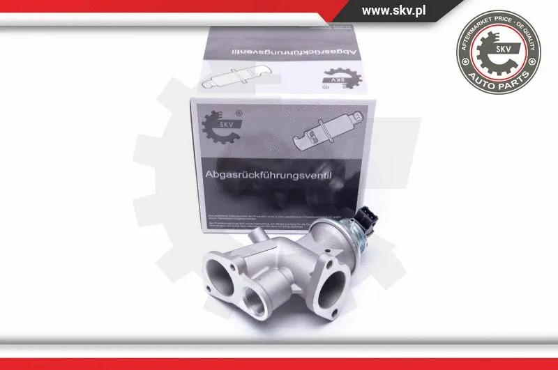 EGR Valve (14SKV181)