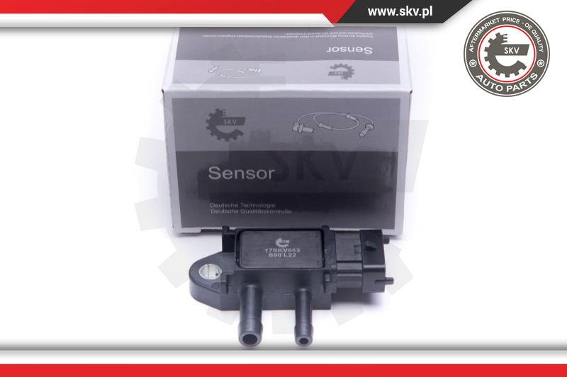 Sensor, exhaust pressure (17SKV663)