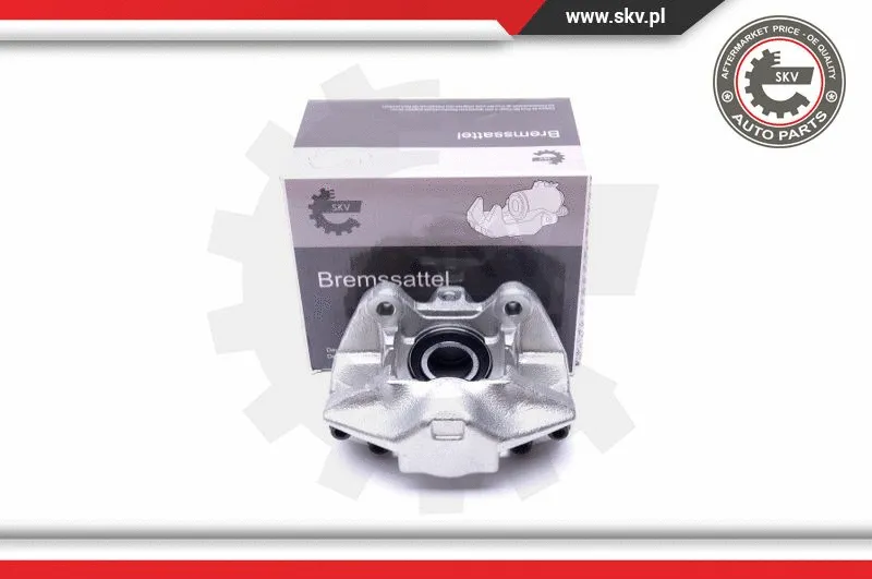 Brake Caliper (42SKV651)