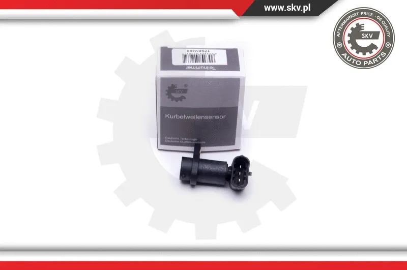 Sensor, camshaft position (17SKV498)