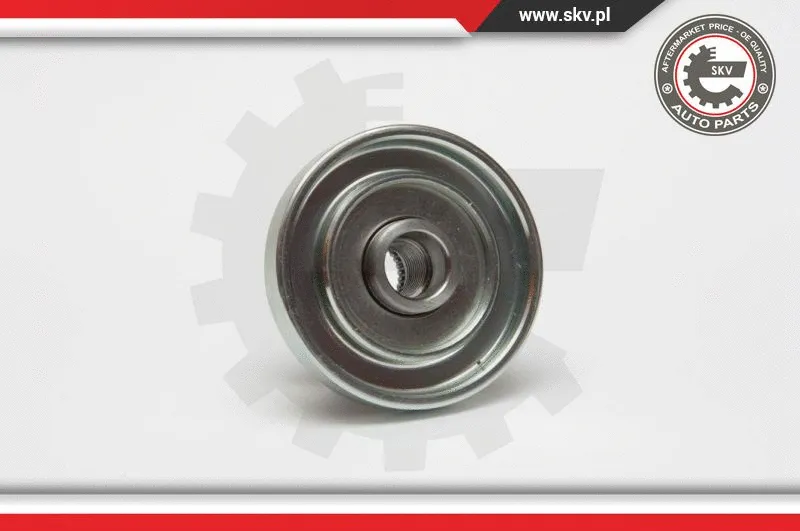 Alternator Freewheel Clutch