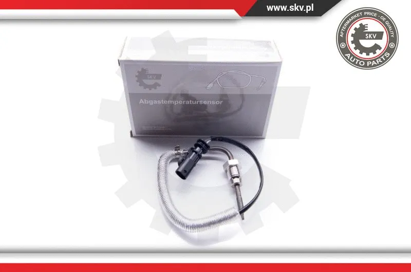Sensor, exhaust gas temperature (30SKV044)
